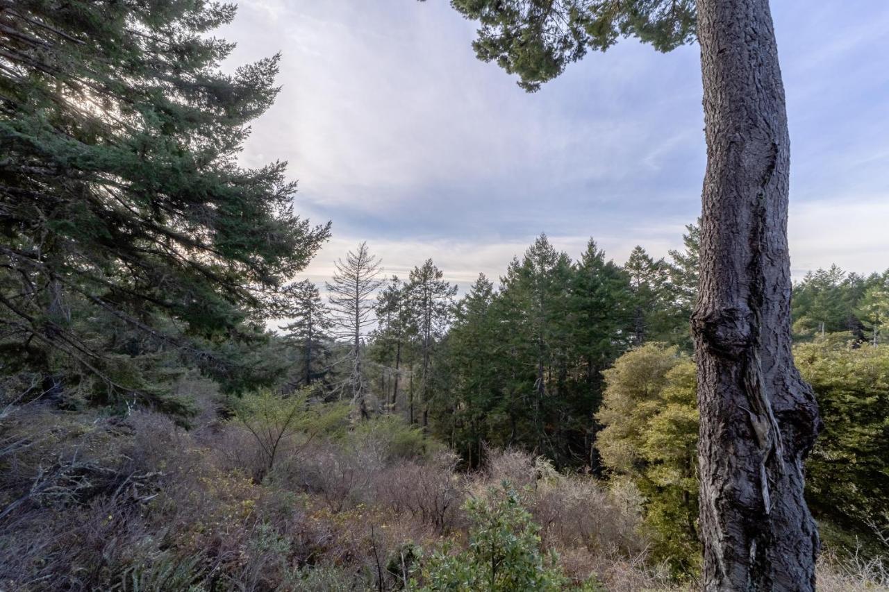 Villa Happy Hill Retreat Shelter Cove Esterno foto