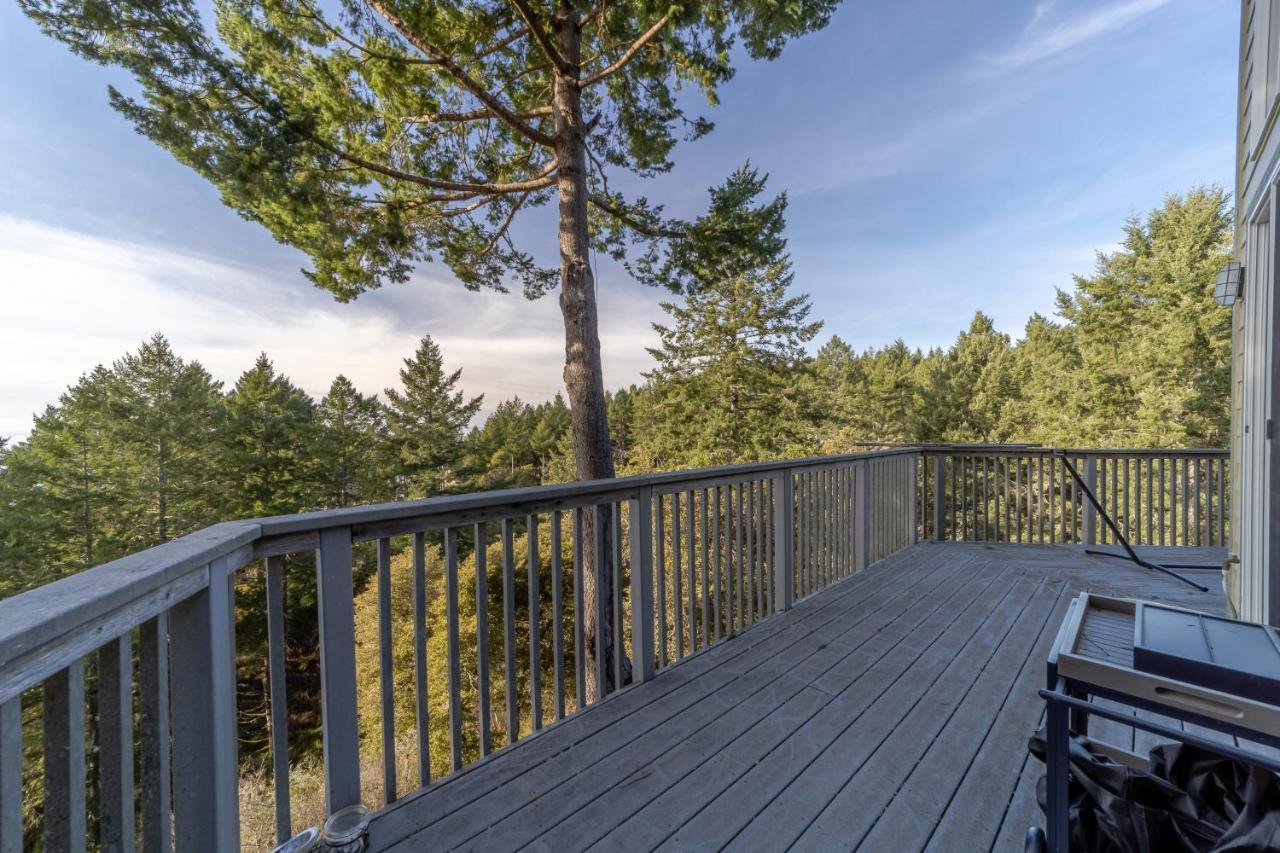 Villa Happy Hill Retreat Shelter Cove Esterno foto